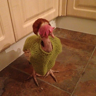 Ravelry: Chicken Sweater pattern by Nanny North