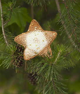 Starbright_star_in_polaris_ravelry_small2