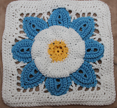 Testfinal_back_small