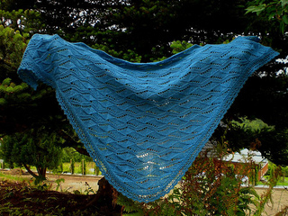 Cimg3191_all_small2