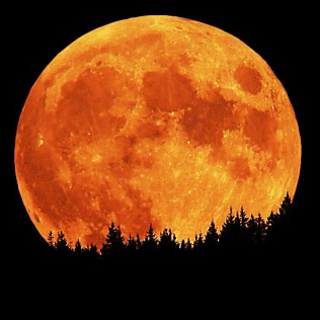 Moon_small2