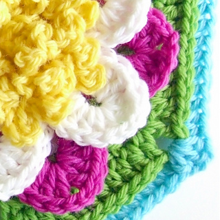 Water_lily_hexagon_5_small2