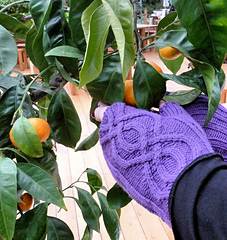 Mitts_3_small