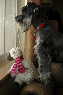Sheep_6_small2