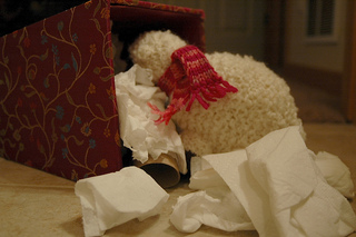 Sheep_2_small2