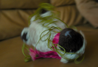 Sheep_4_small2