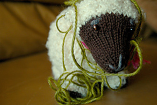 Sheep_5_small2