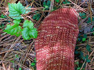 Hiker_chick_copper_toe_outdoors_small2