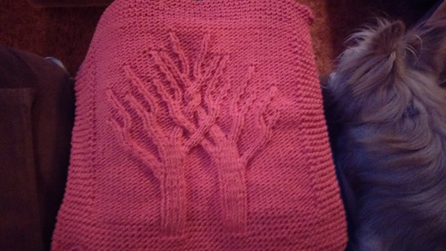 pillow front