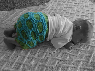 Bwturtle_small2