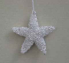 Silverstarweb_small