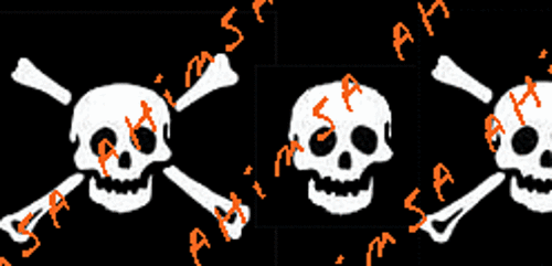 Skullyborderc_medium