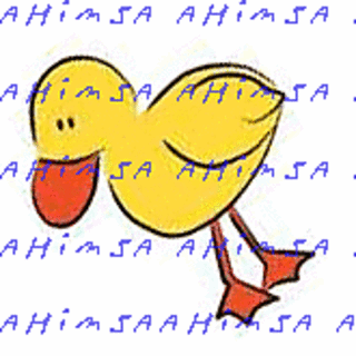 Duckc_small2