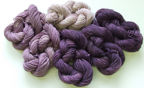 Lupine_medium