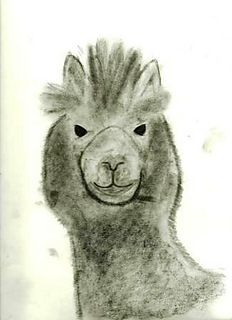 Eco-llama_small2