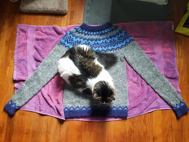 The sweater is blocking on a towel with a cat sitting on it