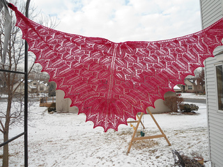 Flor_shawl_013_small2