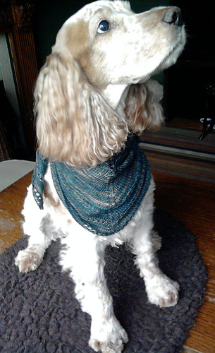 Simple_things_shawlette01_medium