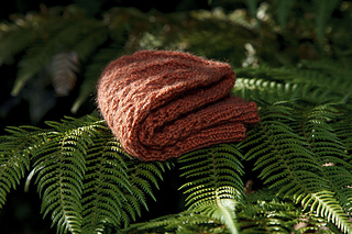 Bushwalk_26_small2