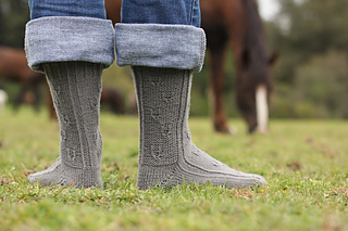 Blackbeautyrideson1_litknits_small2