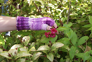 Any_gauge_mitts10_small2