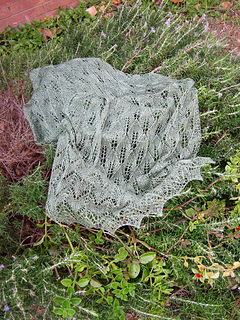 Dscn5511-1_small2