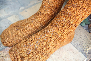 Socks4__800x533__small2
