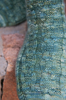 Hollow_oak_detail_small2