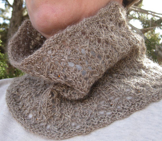 Cowl_cropped_small2