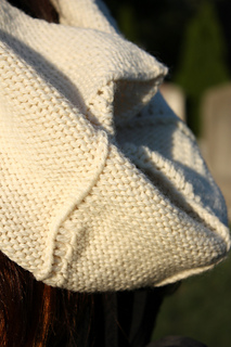Ectocowl4_small2