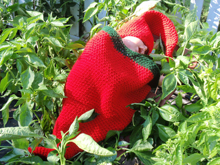 Chili_pepper_small2