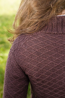 Springer_back_detail_small2