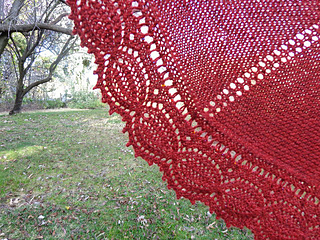 Ps_lace_close_small2