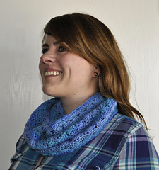 Danubedk-croccowl_small