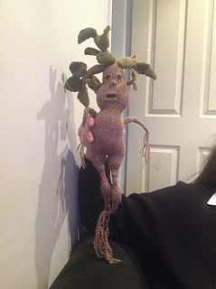 Image_small2