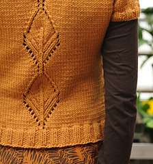 Back_detail_small