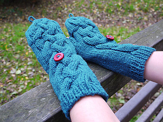 Mitten_covered_small2