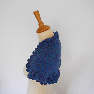 Frilled_bolero_small2