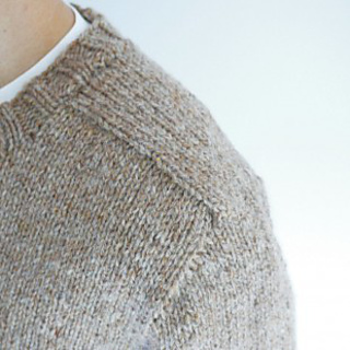 Top_down_seamless_saddle_shoulder_3_small2