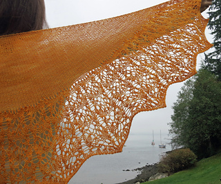 Natures_lace_1_small2
