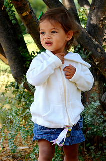 Full_pip_cropped_small2