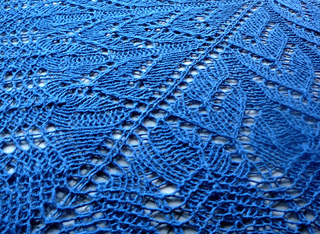 Alllace_small2