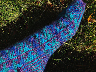 Ithasbluefoot_small2