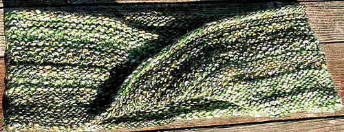 P1010009_50_medium