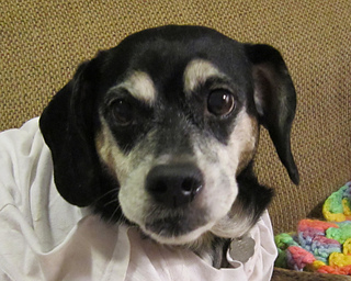 Emma_closeup_small2