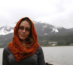 Stitch_sprouts-belarus_hood_small