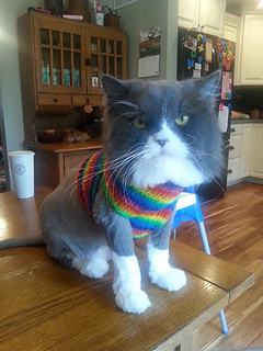 Mervinsweater_small2