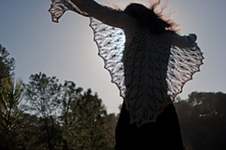Torreyana_-_02_-_silver_backlit_small2