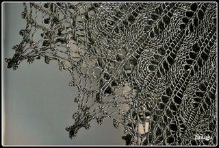 Dsc_0515_small2