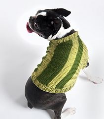 Dog_20sweater_201_sm_small